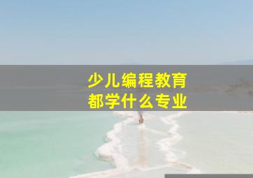 少儿编程教育都学什么专业