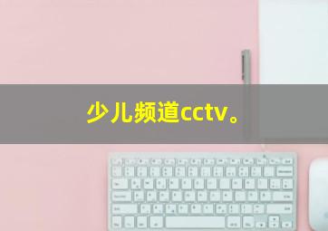 少儿频道cctv。