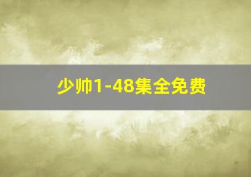 少帅1-48集全免费