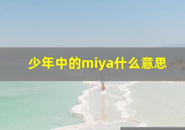 少年中的miya什么意思