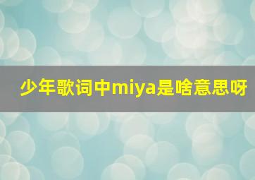 少年歌词中miya是啥意思呀