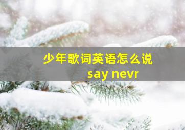 少年歌词英语怎么说 say nevr