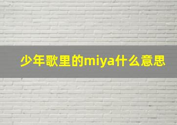 少年歌里的miya什么意思