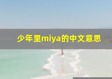 少年里miya的中文意思