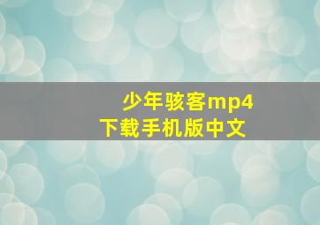 少年骇客mp4下载手机版中文