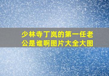 少林寺丁岚的第一任老公是谁啊图片大全大图