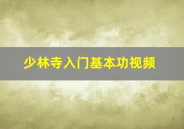 少林寺入门基本功视频