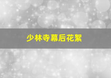 少林寺幕后花絮