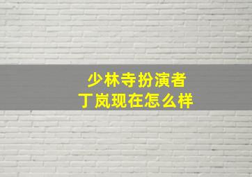 少林寺扮演者丁岚现在怎么样