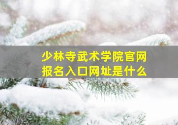 少林寺武术学院官网报名入口网址是什么