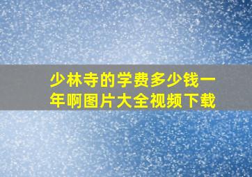 少林寺的学费多少钱一年啊图片大全视频下载