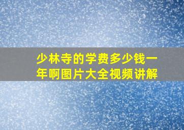 少林寺的学费多少钱一年啊图片大全视频讲解