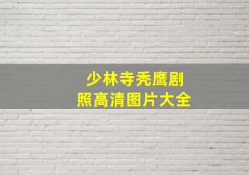 少林寺秃鹰剧照高清图片大全