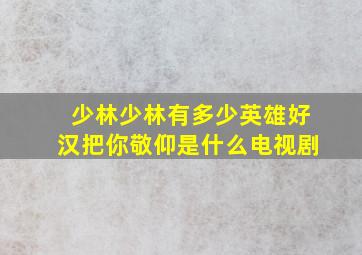 少林少林有多少英雄好汉把你敬仰是什么电视剧