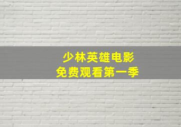 少林英雄电影免费观看第一季