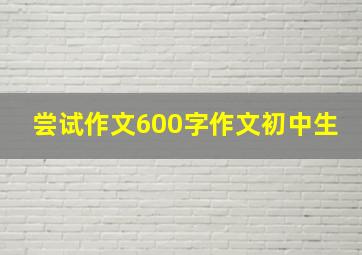 尝试作文600字作文初中生