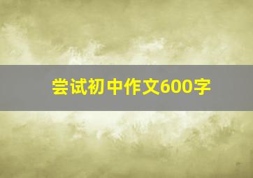 尝试初中作文600字