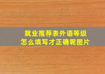 就业推荐表外语等级怎么填写才正确呢图片