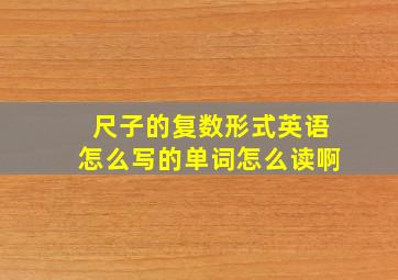 尺子的复数形式英语怎么写的单词怎么读啊