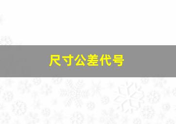 尺寸公差代号