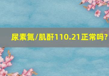 尿素氮/肌酐110.21正常吗?