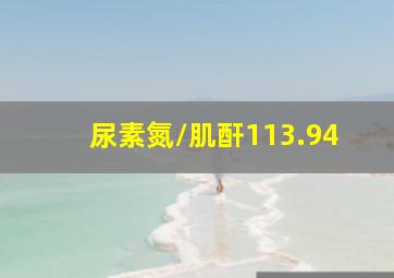 尿素氮/肌酐113.94