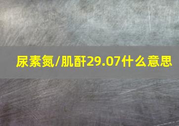 尿素氮/肌酐29.07什么意思