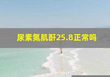 尿素氮肌酐25.8正常吗