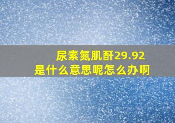 尿素氮肌酐29.92是什么意思呢怎么办啊