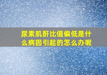 尿素肌酐比值偏低是什么病因引起的怎么办呢