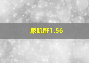 尿肌酐1.56