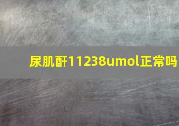 尿肌酐11238umol正常吗