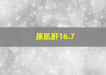 尿肌酐16.7