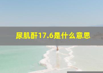 尿肌酐17.6是什么意思