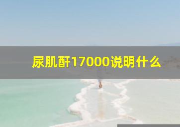 尿肌酐17000说明什么