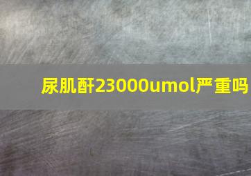 尿肌酐23000umol严重吗