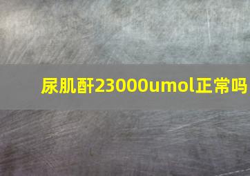 尿肌酐23000umol正常吗