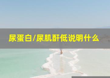 尿蛋白/尿肌酐低说明什么