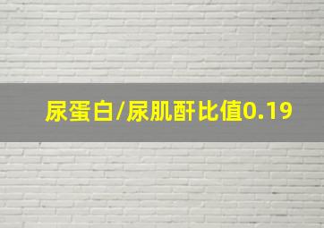 尿蛋白/尿肌酐比值0.19