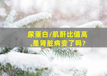 尿蛋白/肌酐比值高,是肾脏病变了吗?