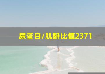 尿蛋白/肌酐比值2371