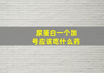 尿蛋白一个加号应该吃什么药