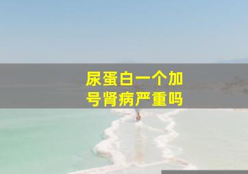 尿蛋白一个加号肾病严重吗