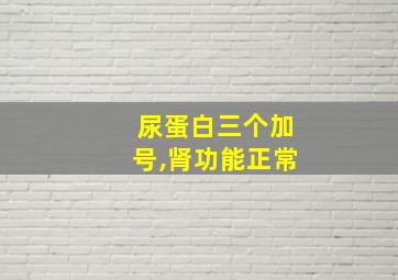 尿蛋白三个加号,肾功能正常