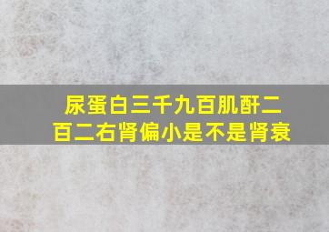 尿蛋白三千九百肌酐二百二右肾偏小是不是肾衰