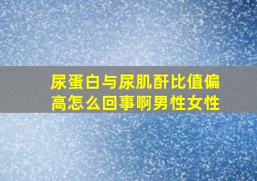 尿蛋白与尿肌酐比值偏高怎么回事啊男性女性