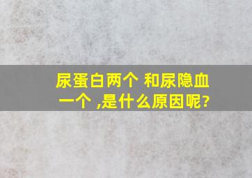 尿蛋白两个+和尿隐血一个+,是什么原因呢?