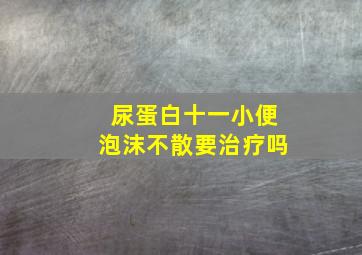 尿蛋白十一小便泡沫不散要治疗吗