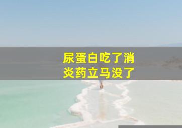 尿蛋白吃了消炎药立马没了