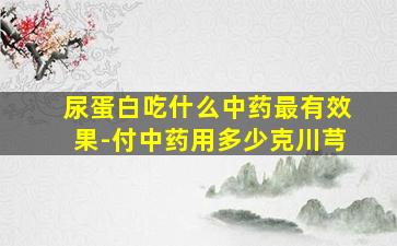 尿蛋白吃什么中药最有效果-付中药用多少克川芎